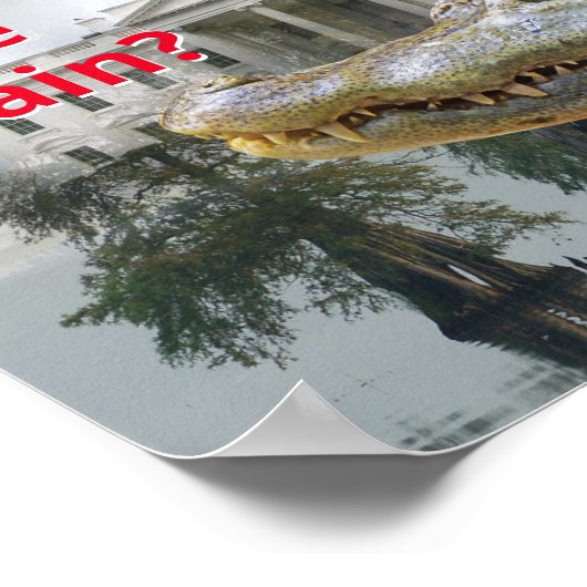 沼のホワイトハウストランプ爬虫類を排水 ポスター (角)