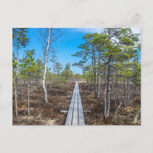 沼の上の木道 ポストカード (正面)