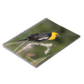 沼の印象的な黄色い頭のブラックバード ノートブック (左側)