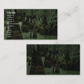 沼の水から上がるはげたヒノキの膝 名刺 (正面/裏面)