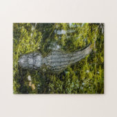 沼の水で泳ぐ大きなワニ ジグソーパズル (横)