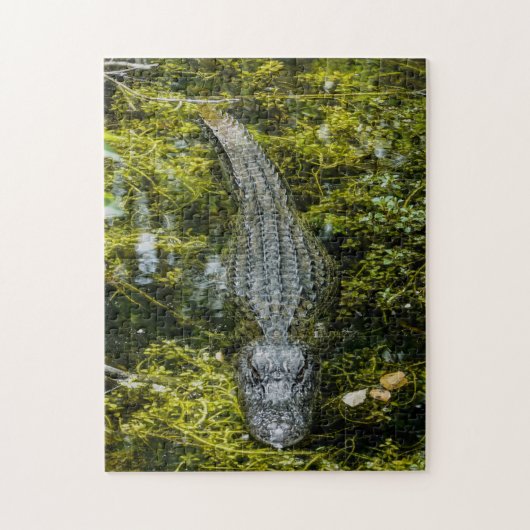 沼の水で泳ぐ大きなワニ ジグソーパズル (縦)