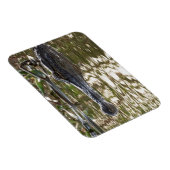 沼の水に潜むワニ マグネット (右側)