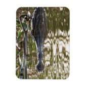 沼の水に潜むワニ マグネット (縦)