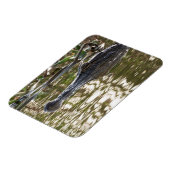 沼の水に潜むワニ マグネット (左側)