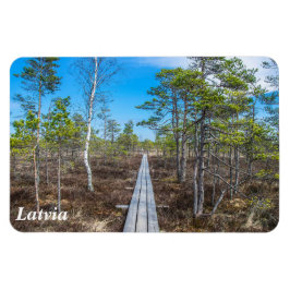 沼の磁石の上の木道 マグネット