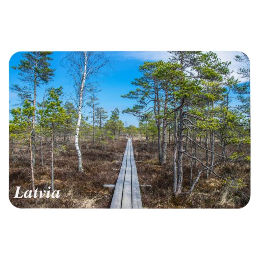 沼の磁石の上の木道 マグネット (横)