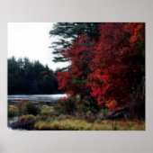 沼の秋の紅葉自然Orton効果 ポスター (正面)
