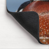 沼の美しいペンシブな木のアヒル マウスパッド (コーナー)