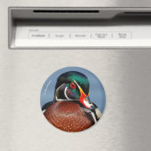 沼の美しいペンシブな木のアヒル マグネット (インサイチュ (食洗機))