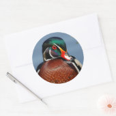 沼の美しいペンシブな木のアヒル ラウンドシール (封筒)