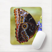 沼の蘭の青いモルフォの蝶 マウスパッド (マウス)