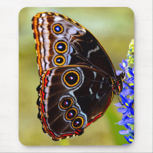沼の蘭の青いモルフォの蝶 マウスパッド