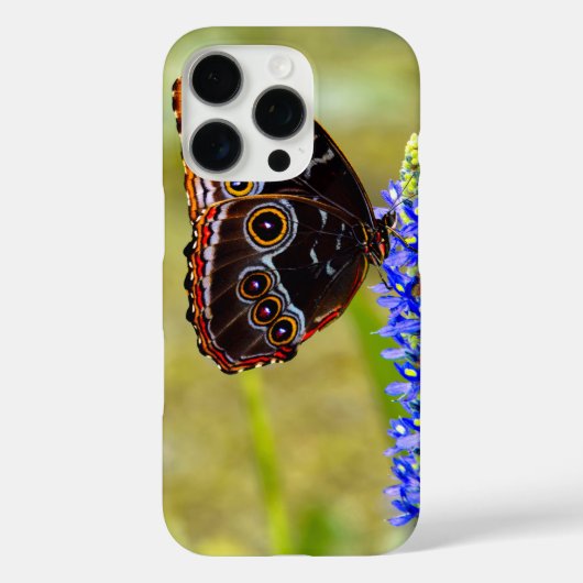 沼の蘭の青いモルフォの蝶 Case-Mate iPhoneケース (裏面)