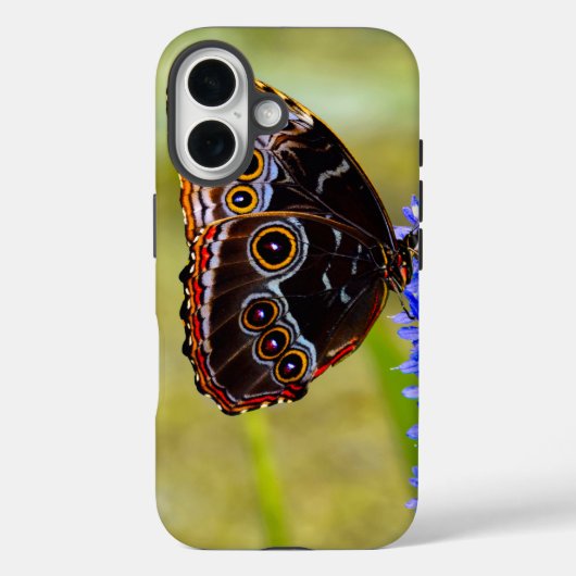 沼の蘭の青いモルフォの蝶 Case-Mate iPhoneケース (裏面)