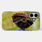 沼の蘭の青いモルフォの蝶 Case-Mate iPhoneケース (裏面 (横))