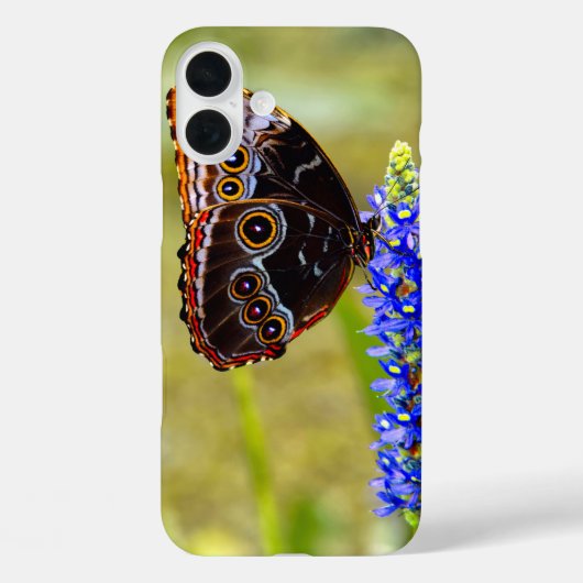 沼の蘭の青いモルフォの蝶 Case-Mate iPhoneケース (裏面)