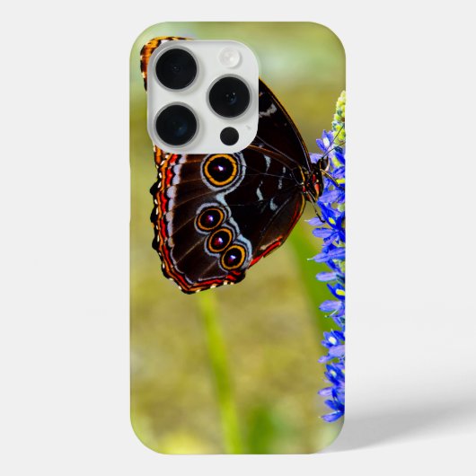 沼の蘭の青いモルフォの蝶 Case-Mate iPhoneケース (裏面)