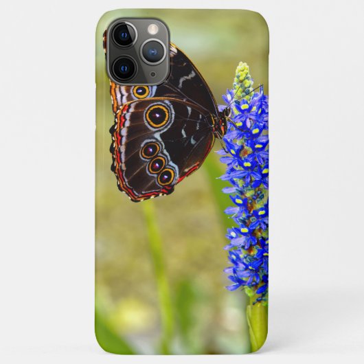 沼の蘭の青いモルフォの蝶 Case-Mate iPhoneケース (裏面)