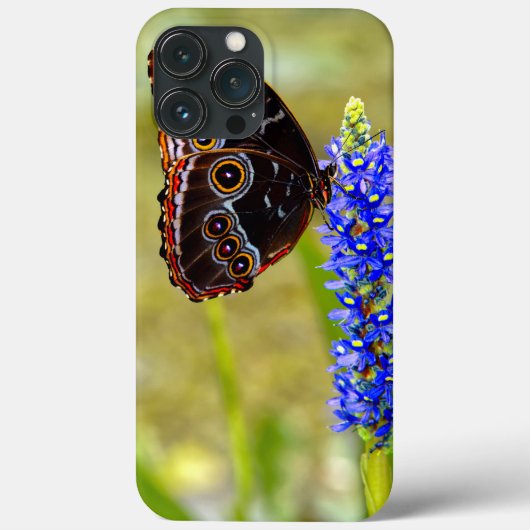 沼の蘭の青いモルフォの蝶 Case-Mate iPhoneケース (裏面)