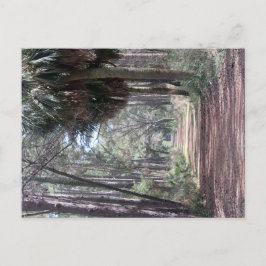 沼を通る長い道 ポストカード