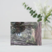 沼を通る長い道 ポストカード (スタンド正面)