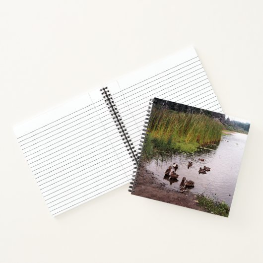 沼地で….. ノートブック (内部)
