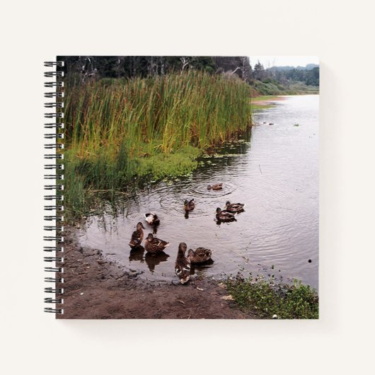 沼地で….. ノートブック (正面)