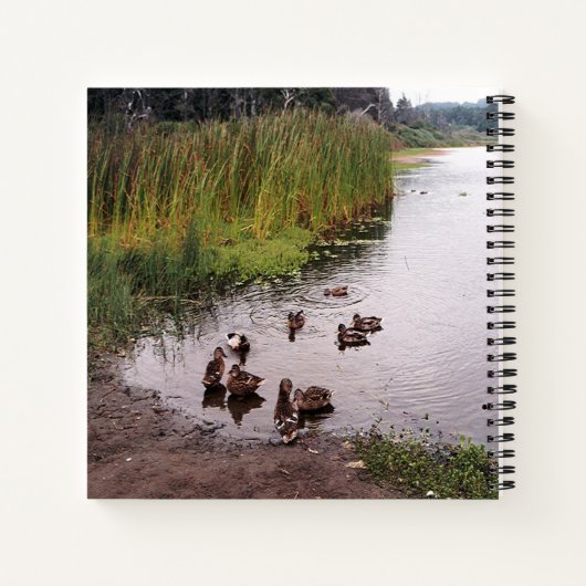 沼地で….. ノートブック (裏面)