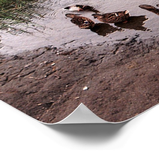 沼地で….. ポスター (角)