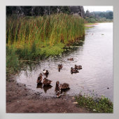 沼地で….. ポスター (正面)