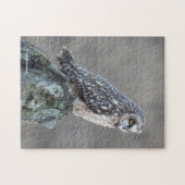 沼地に生息するミミミズク ジグソーパズル (横)