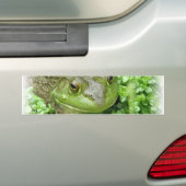 沼地のステッカーのカエル バンパーステッカー (車上)