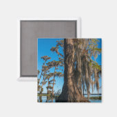 沼地のヌマスギ マグネット (正面/裏面)