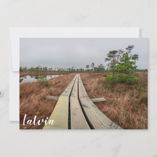 沼地のハイキングコース (正面)