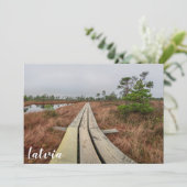 沼地のハイキングコース (スタンド正面)