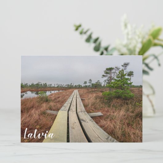 沼地のハイキングコース (スタンド正面)