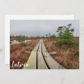 沼地のハイキングコース (正面/裏面)