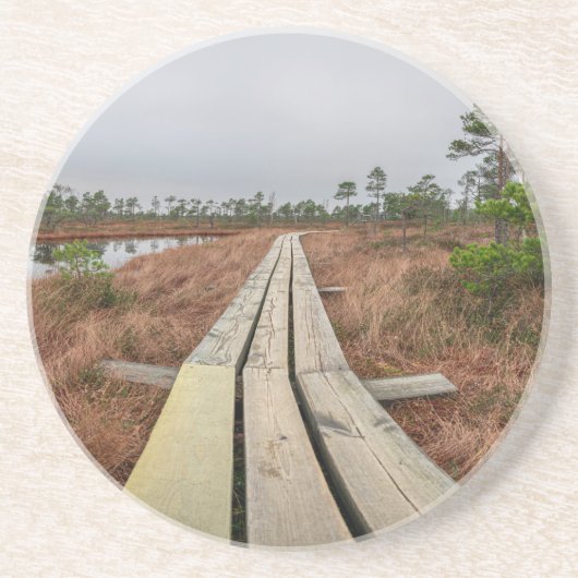 沼地のハイキングコース コースター (正面)