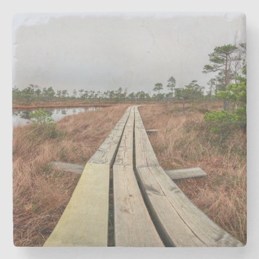 沼地のハイキングコース ストーンコースター (正面)