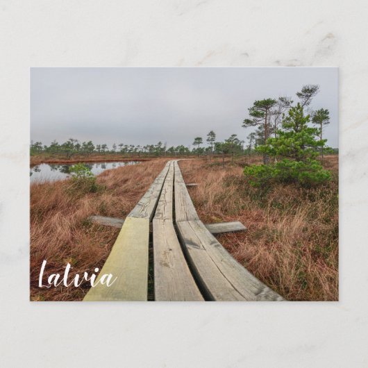 沼地のハイキングコース ポストカード (正面)