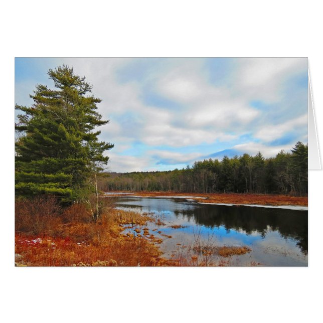 沼地の流れ (正面横)