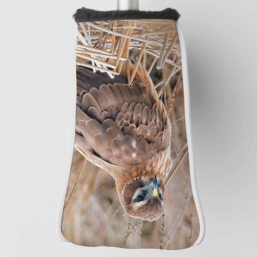 沼地の美しい北ハリアホーク ゴルフヘッドカバー (回転90)