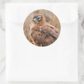 沼地の美しい北ハリアホーク ラウンドシール (バッグ)