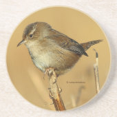 沼地の美しい湿地ウォレンの松の鳥 コースター (正面)