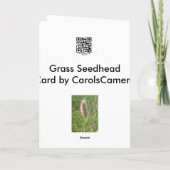 沼地の草のSeedheadのメッセージカード カード (裏面)