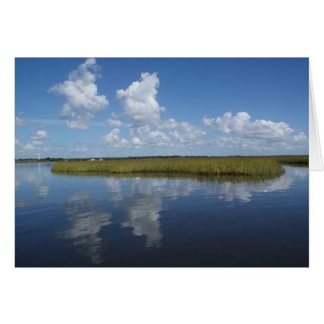 沼地はIIを円熟させます (正面横)