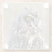 沼地素晴らしに生息する短耳フクロウ ガラスコースター (裏面)