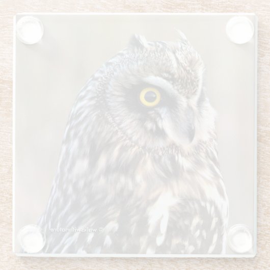 沼地素晴らしに生息する短耳フクロウ ガラスコースター (裏面)