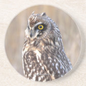 沼地素晴らしに生息する短耳フクロウ コースター (正面)